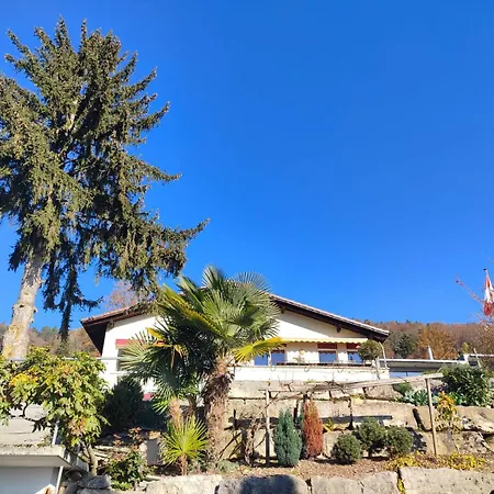 Hilterfingen On The Way To Interlaken * Thun